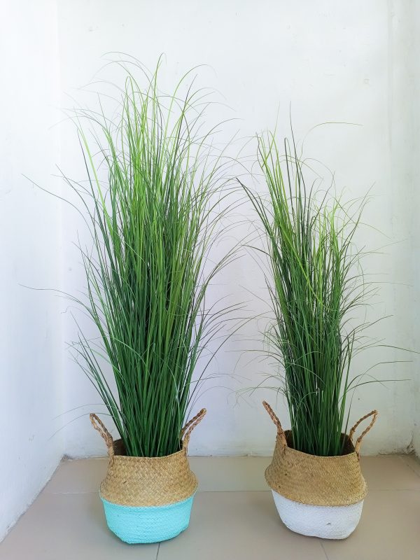 Reed Grass Plant In Wicker Basket Vase