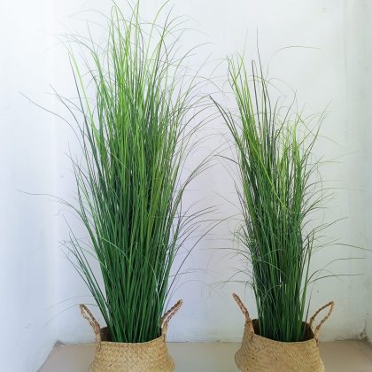 Reed Grass Plant In Wicker Basket Vase