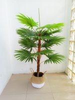 Fake Palm Plant In Seagrass Basket - Height 120cm