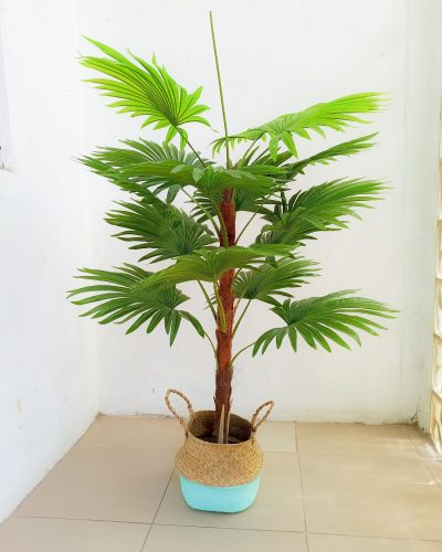 Fake Palm Plant In Seagrass Basket - Height 120cm
