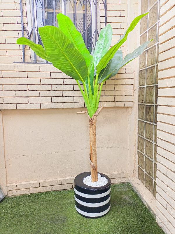 Artificial Banana Tree With Colorful Cylinder Planter