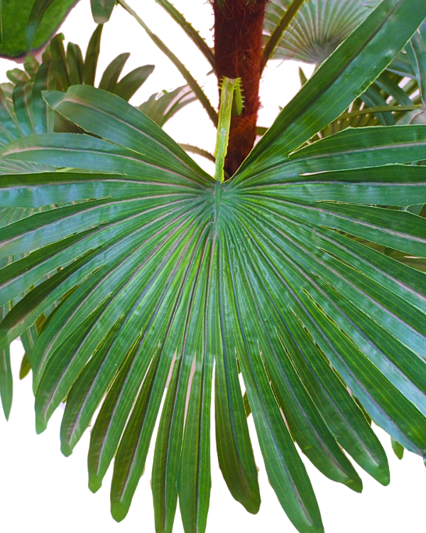 FAN PALM FAKE PLANT | ALTERNATIVE TO NATURAL FLOWER PLANT