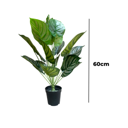 ARTIFICIAL HOUSEPLANTS | GREEN APPLE PLANTS | "Buy Now"