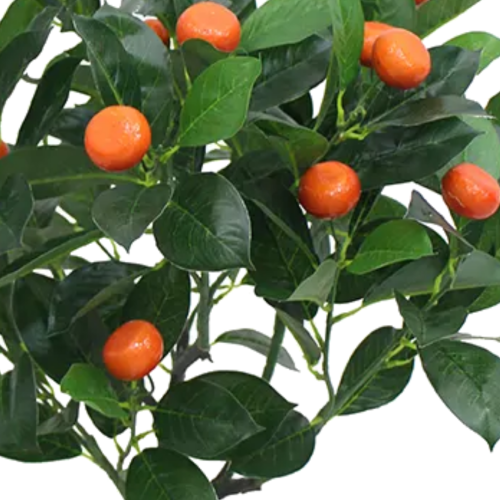 ARTIFICIAL ORANGE TREE PLANTS | NEARLY NATURAL PLANTS
