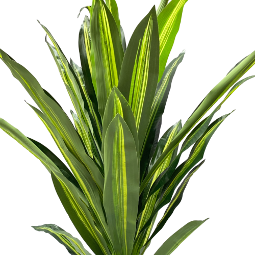 FAUX SINGLE DRACAENA PLANTS | DECORATIVE ARTIFICIAL PLANT