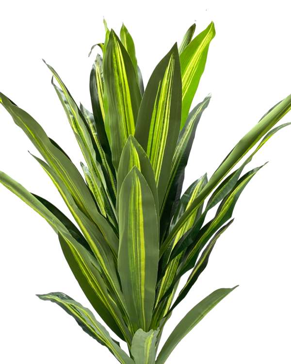 FAUX SINGLE DRACAENA PLANTS | DECORATIVE ARTIFICIAL PLANT