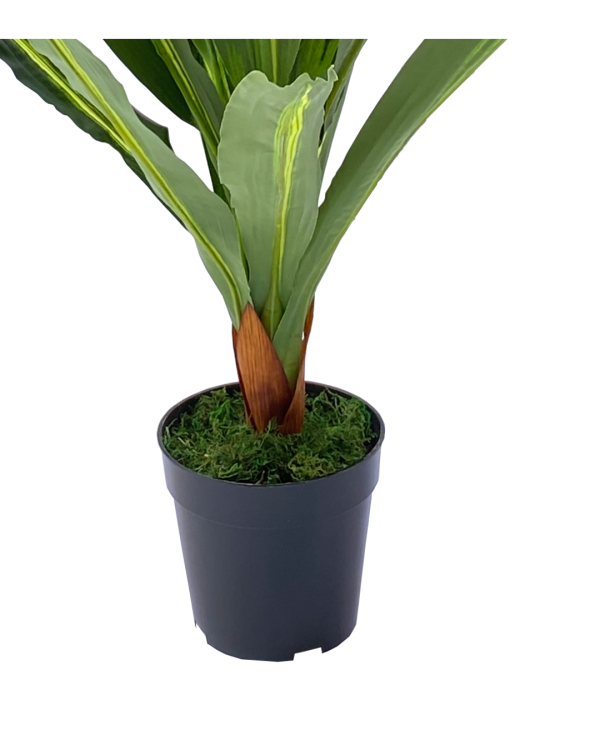 FAUX SINGLE DRACAENA PLANTS | DECORATIVE ARTIFICIAL PLANT