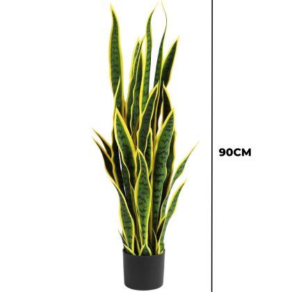 FAKE SNAKE PLANTS | WHOLESALE OF QUALITY PLANT IN NIGERIA