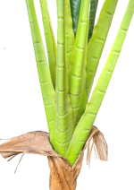 FAUX BANANA PLANT | ONLINE SALES OF QUALITY FAKE FLOWERS