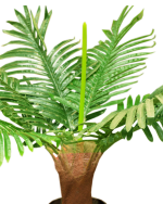 SMALL ARTIFICIAL PALM PLANTS | WHOLESALES OF DECOR PLANTS