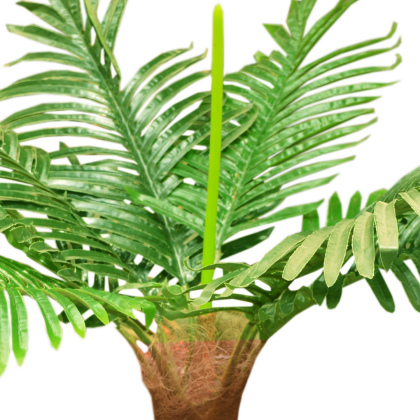 SMALL ARTIFICIAL PALM PLANTS | WHOLESALES OF DECOR PLANTS