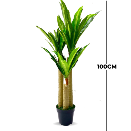 FAKE DRACAENA PLANTS - PLANTS FOR COMMERCIAL SPACES