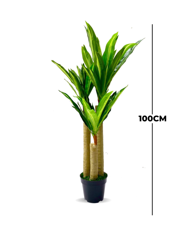 FAKE DRACAENA PLANTS - PLANTS FOR COMMERCIAL SPACES