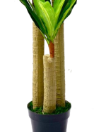 FAKE DRACAENA PLANTS - PLANTS FOR COMMERCIAL SPACES