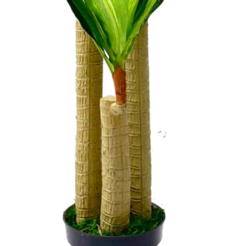 FAKE DRACAENA PLANTS - PLANTS FOR COMMERCIAL SPACES