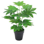 ARTIFICIAL JAPANESE FATSIA PLANTS | PLANTS SALES | ORDER NOW
