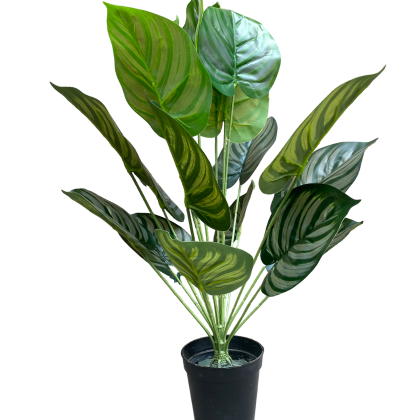 ARTIFICIAL HOUSEPLANTS | GREEN APPLE PLANTS | "Buy Now"