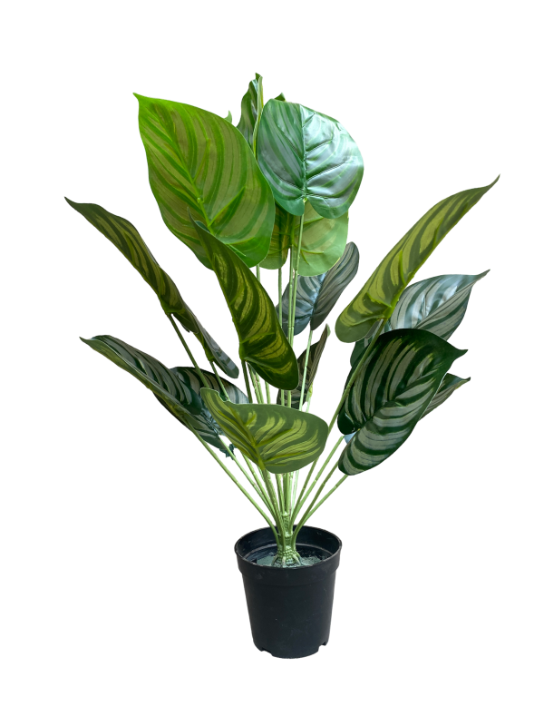 ARTIFICIAL HOUSEPLANTS | GREEN APPLE PLANTS | "Buy Now"