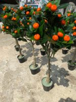 ARTIFICIAL ORANGE TREE PLANTS | NEARLY NATURAL PLANTS