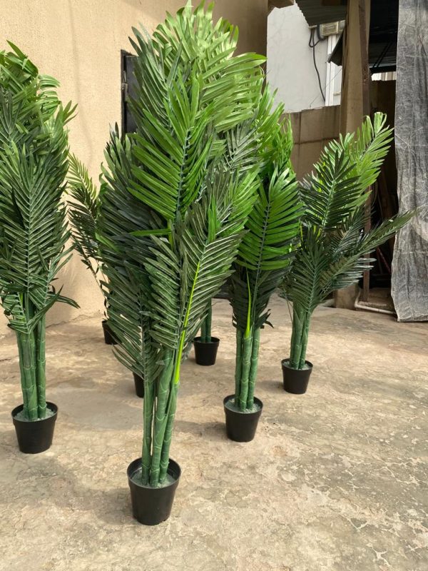 ARTIFICIAL PALM TREES | WHOLESALERS WANTED NATIONWIDE