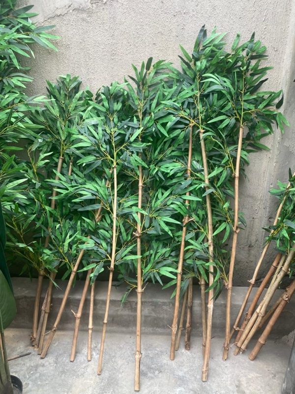 INDOOR FAKE BAMBOO PLANTS | ONLINE & OFFLINE PLANTS SALES