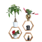 Natural Wooden Flower Vases | Hexagon Shape For Interior Design
