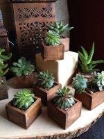 Square Wooden Flower Vases Available For Bulk Sale Purchase