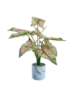 TABLETOP ARTIFICIAL PLANTS | FAUX CALADIUM PLANT| SHOP NOW