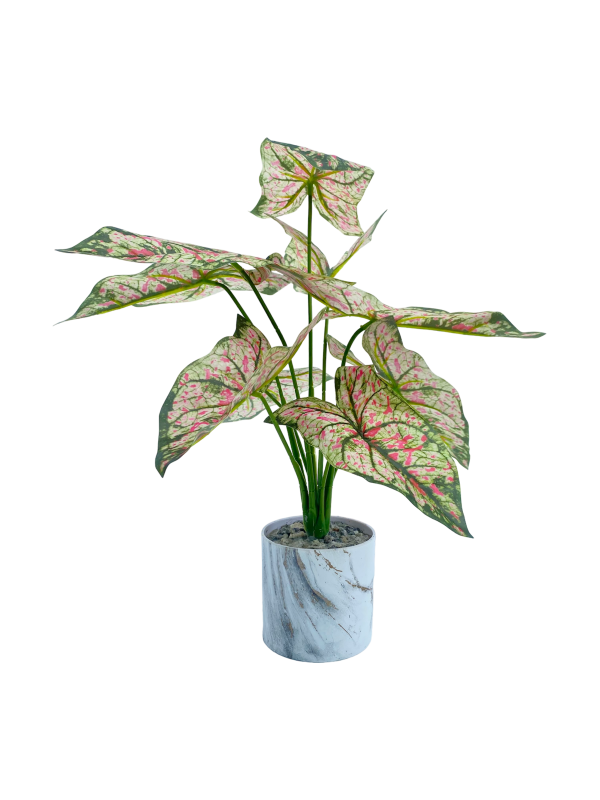 TABLETOP ARTIFICIAL PLANTS | FAUX CALADIUM PLANT| SHOP NOW