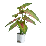 TABLETOP ARTIFICIAL PLANTS | FAUX CALADIUM PLANT| SHOP NOW