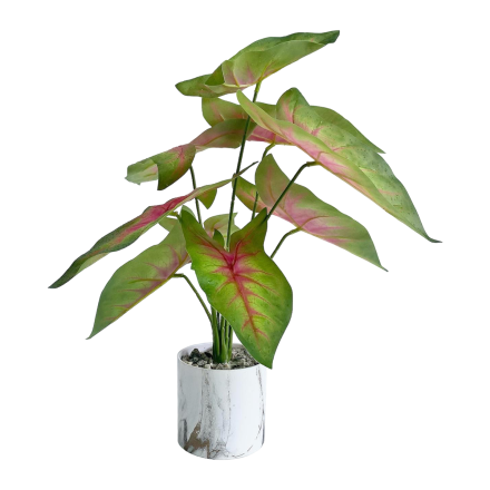 TABLETOP ARTIFICIAL PLANTS | FAUX CALADIUM PLANT| SHOP NOW