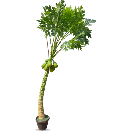 Artificial Papaya Tree For Outdoor Décor