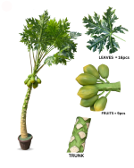 Artificial Papaya Tree For Outdoor Décor