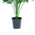 Artificial 90cm Palm Plant Suitable For Interior/Exterior Decoration