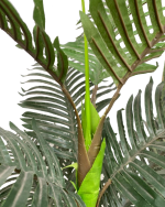SYNTHETIC PALM PLANTS | BULK SLAES - DELIVERY NATIONWIDE