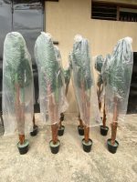 TALL ARTIFICIAL PALM TREE | ONLINE SALES OF FAKE PALM PLANTS