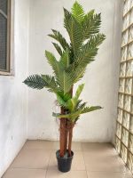 EXTERIOR FAUX PALM TREES | BULK ARTIFICIAL PLANTS SALES