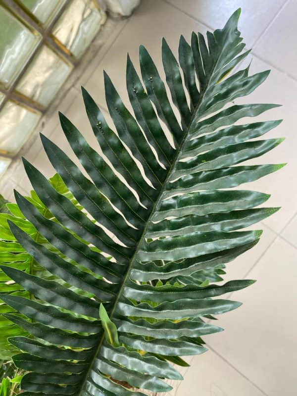 EXTERIOR FAUX PALM TREES | BULK ARTIFICIAL PLANTS SALES