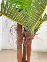 EXTERIOR FAUX PALM TREES | BULK ARTIFICIAL PLANTS SALES