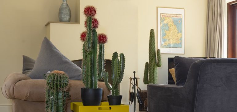 Quality Artificial Cactus Plants For Interior & Exterior Decorations