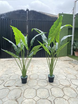 Where To Buy Artificial Plants/Flowers For Interior  Decor In Nigeria