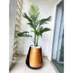 Artificial Plants/Flowers And Fiberglass Pot | Combo Of Fake Plants