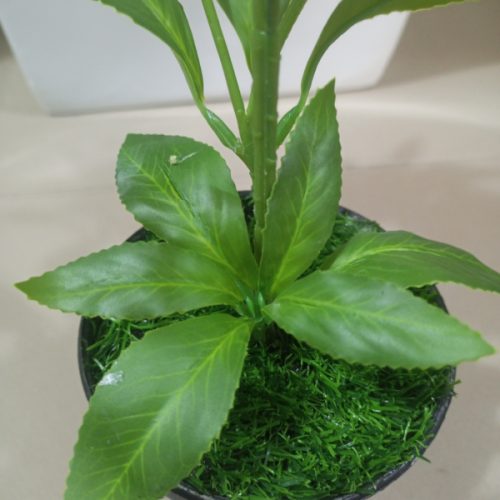 Fake Mini Indoor Plants | Wholesale Of Artificial Sarcandra Plant