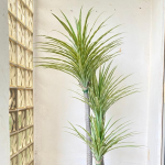 Artificial Yucca Plant For Interior Decor | Shop Fake Plants/Flowers Now