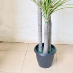 Artificial Yucca Plant For Interior Decor | Shop Fake Plants/Flowers Now