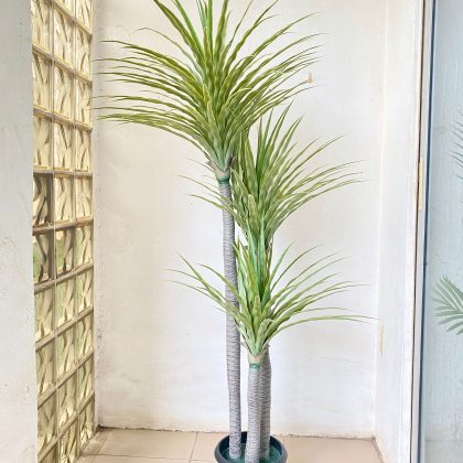 Artificial Yucca Plant For Interior Decor | Shop Fake Plants/Flowers Now