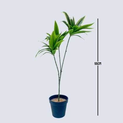 Artificial Mini Potted Plants/Flowers | Mini Potted Dracaena Plants For Interior Decor