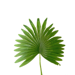 Artificial Plants/Trees/Flowers Palm Plant | Mini Plants For Interior Decor