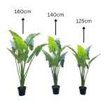 Cocoyam Artificial Plants/Flower For Indoor Home, Office Decorations