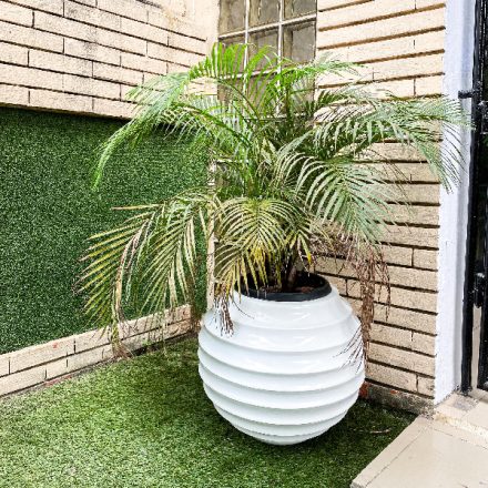 Ring Fiberglass Flower Pot/Planter | Nigeria Major Manufacturer Of Fiberglass